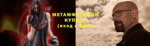ГАЛЛЮЦИНОГЕННЫЕ ГРИБЫ Верея