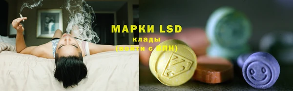 молекула духа Лабытнанги