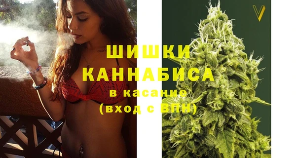 первитин Новозыбков