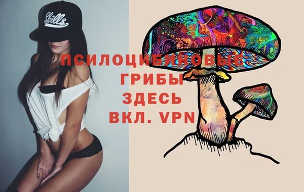 стафф Лихославль