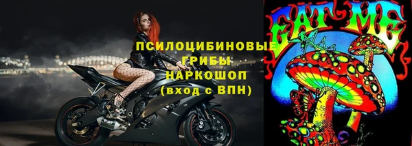 индика Новодвинск