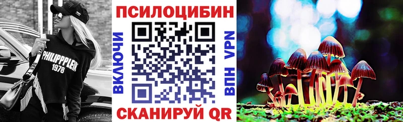 Псилоцибиновые грибы MAGIC MUSHROOMS  наркотики  Яблоновский 